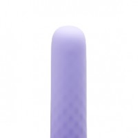 Vibrator 3.8 Inches Silicone 10-Speed Rechargeable LAVENDAR